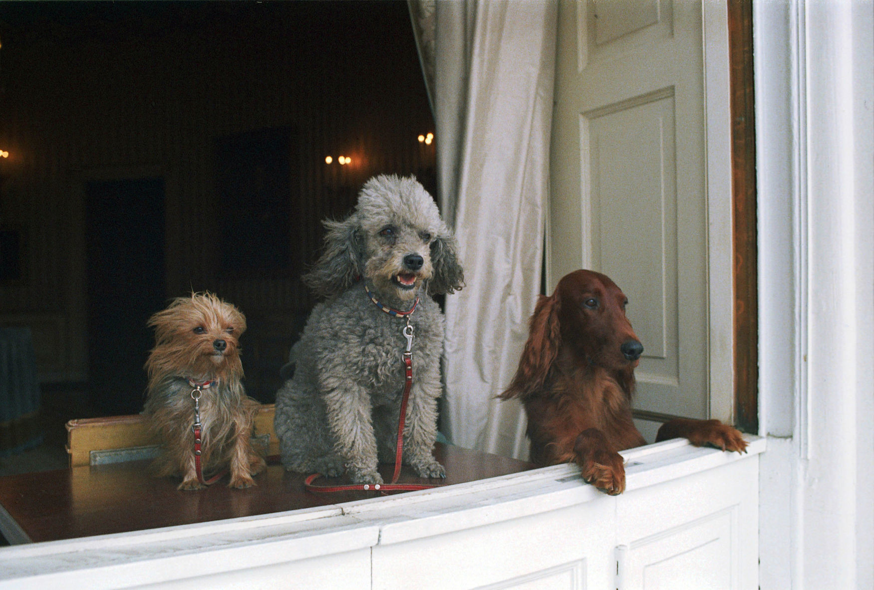 Nixon's companions
